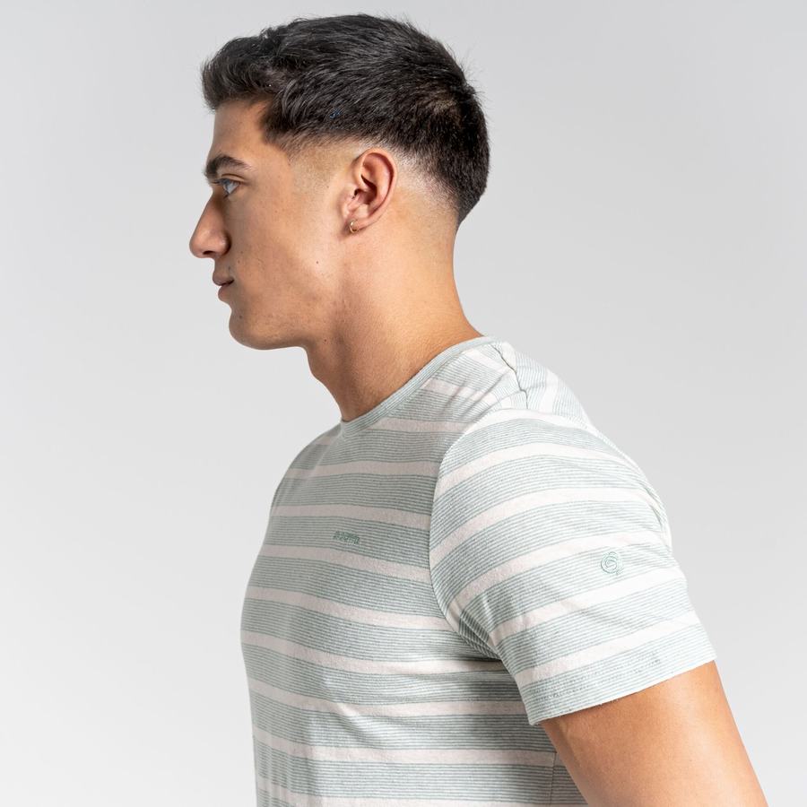 Green Stripes Craghoppers Nosibotanical Sten Short Sleeved Men's T-Shirts | QZE6091TJ