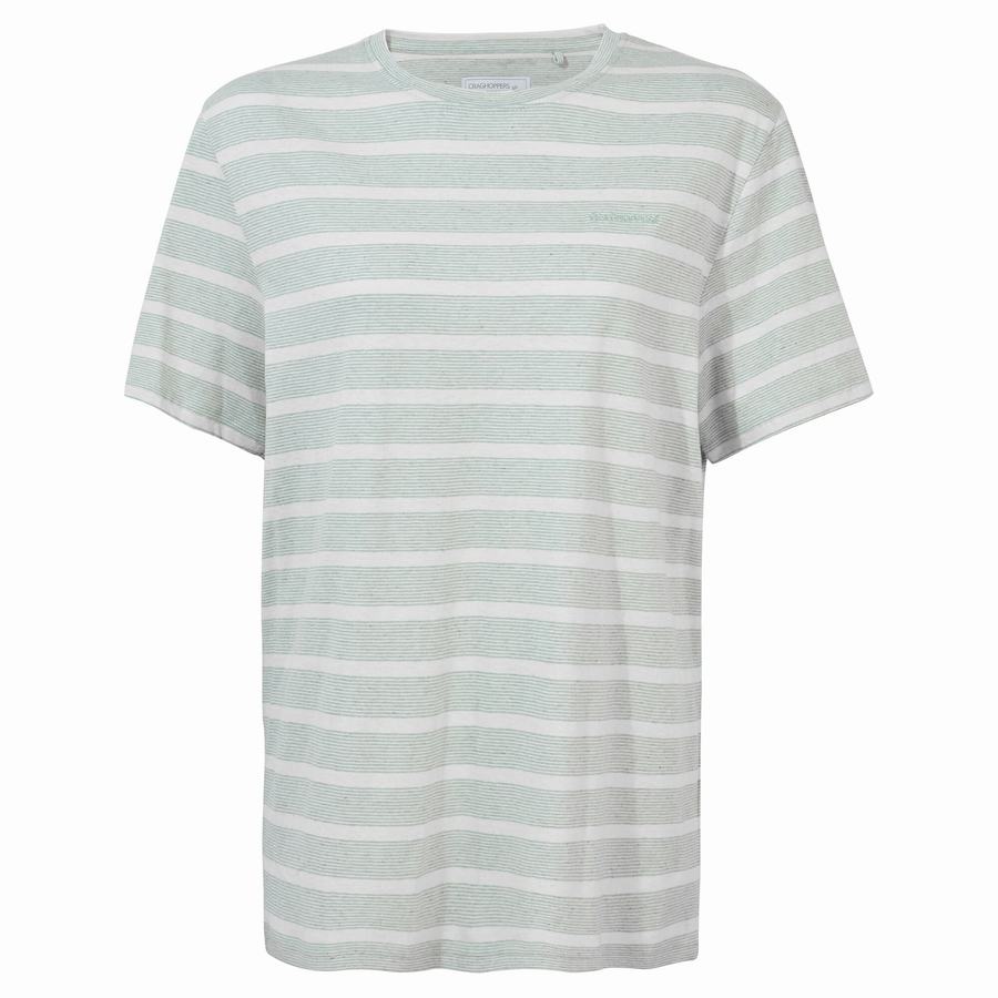 Green Stripes Craghoppers Nosibotanical Sten Short Sleeved Men's T-Shirts | QZE6091TJ