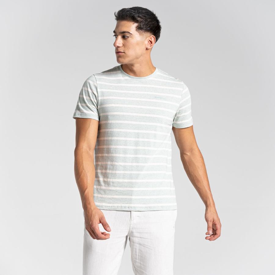 Green Stripes Craghoppers Nosibotanical Sten Short Sleeved Men's T-Shirts | QZE6091TJ