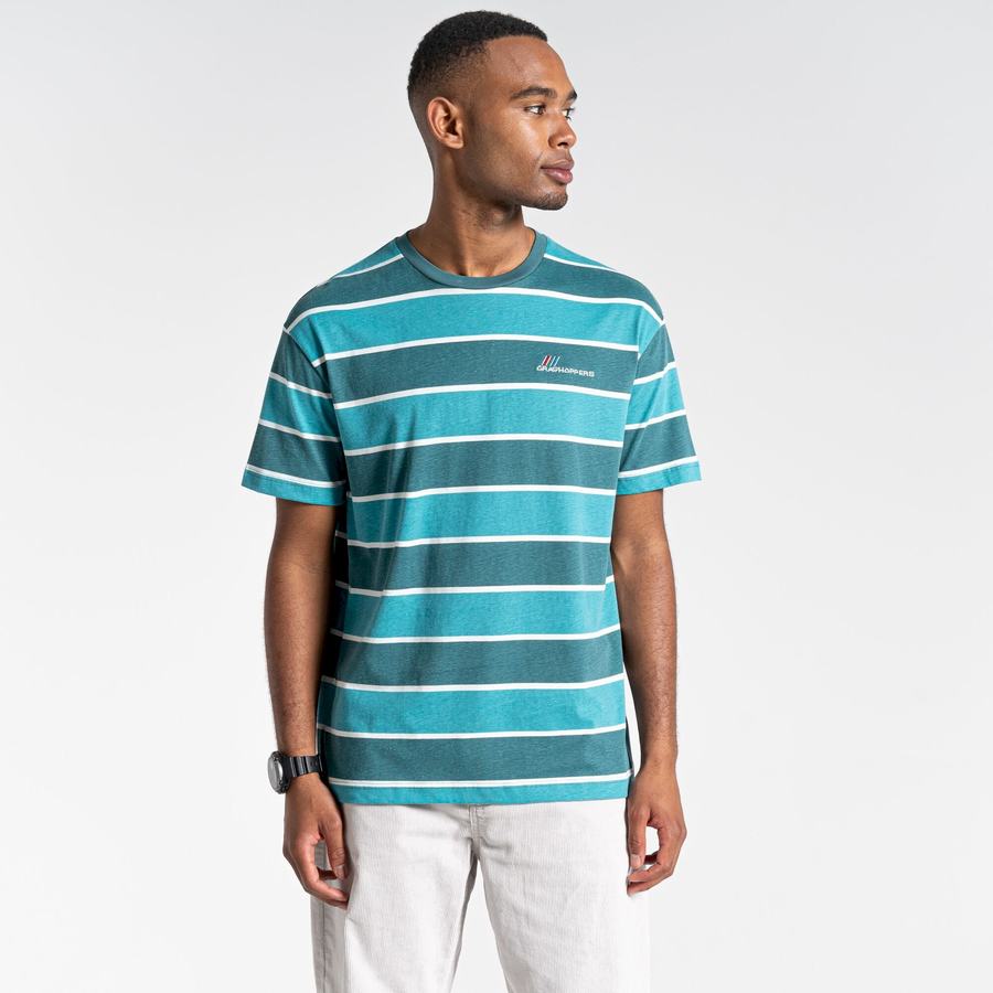 Green Stripes Craghoppers Ventura Short Sleeved Men's T-Shirts | PYS2596BH