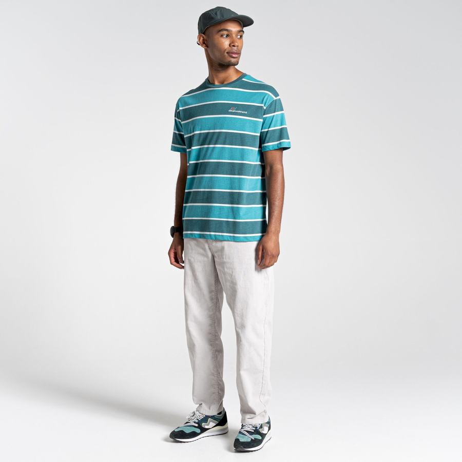 Green Stripes Craghoppers Ventura Short Sleeved Men's T-Shirts | PYS2596BH