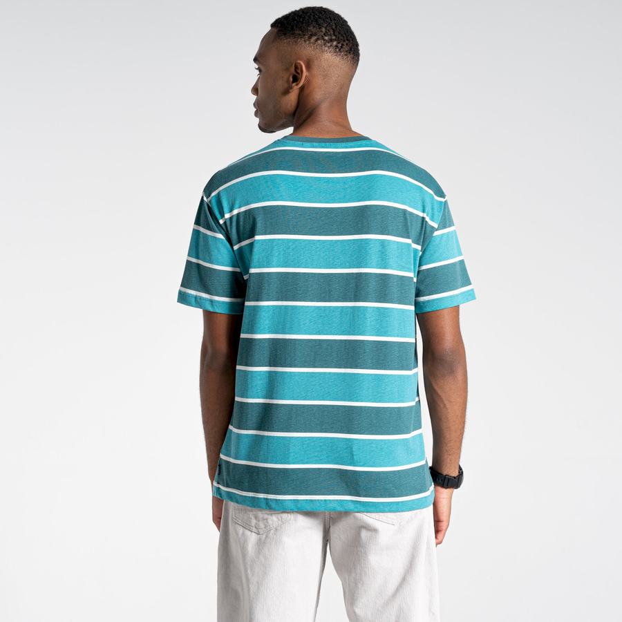 Green Stripes Craghoppers Ventura Short Sleeved Men's T-Shirts | PYS2596BH