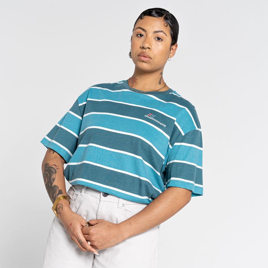 Green Stripes Craghoppers Ventura Short Sleeved Men's T-Shirts | PYS2596BH