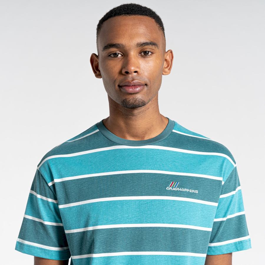 Green Stripes Craghoppers Ventura Short Sleeved Men's T-Shirts | PYS2596BH