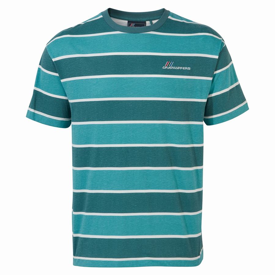 Green Stripes Craghoppers Ventura Short Sleeved Men's T-Shirts | PYS2596BH