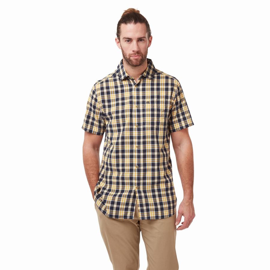 Grey Blue Craghoppers Jose Short Sleeved Men's Shirts | DER1009GJ