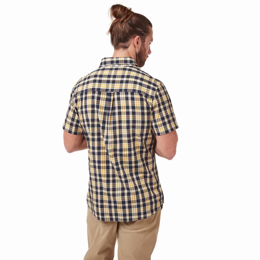 Grey Blue Craghoppers Jose Short Sleeved Men's Shirts | DER1009GJ