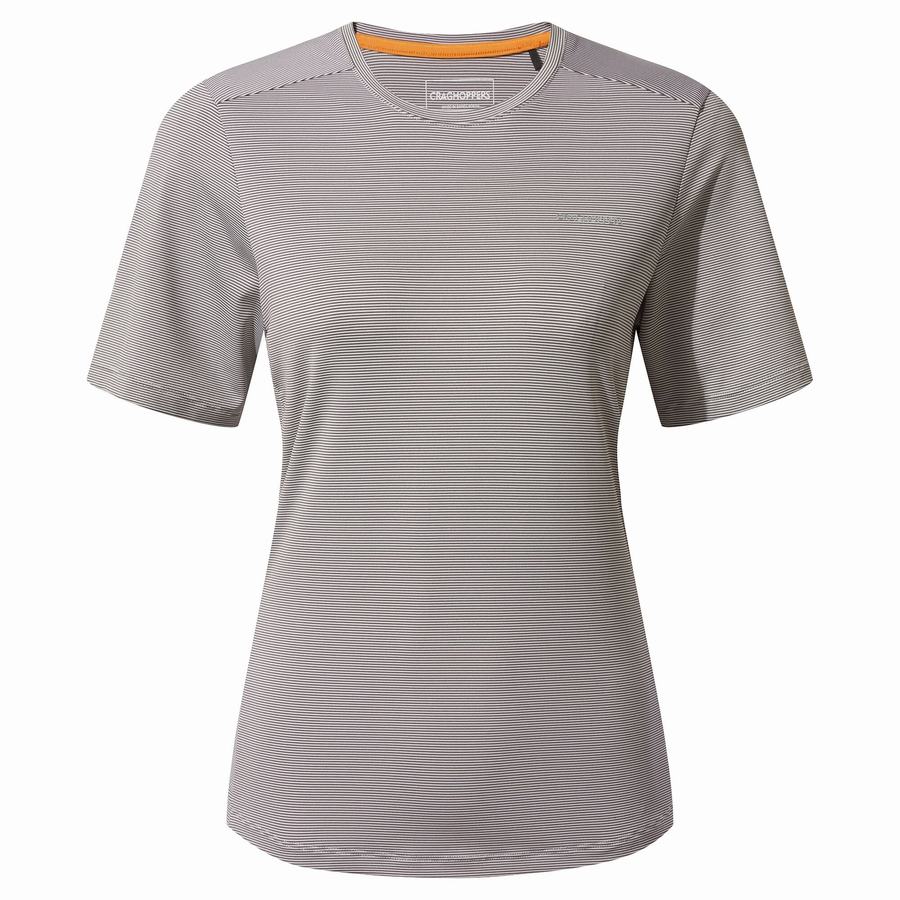 Grey Craghoppers Aliso Short Sleeved Women's T-Shirts | HID7468VG