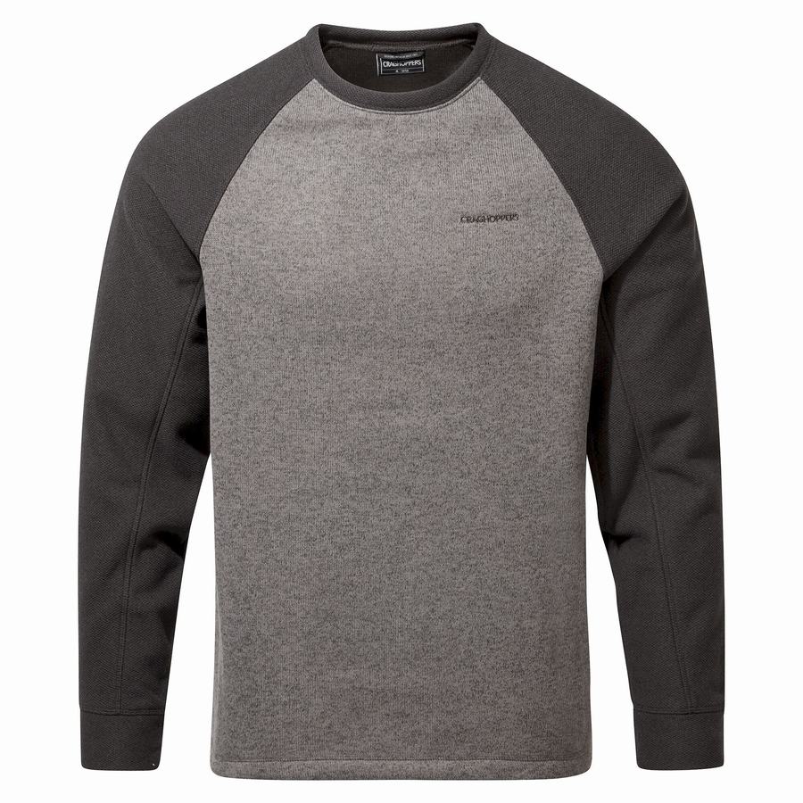 Grey Craghoppers Barker Jumper Men's Sweatshirts | NVO832IA