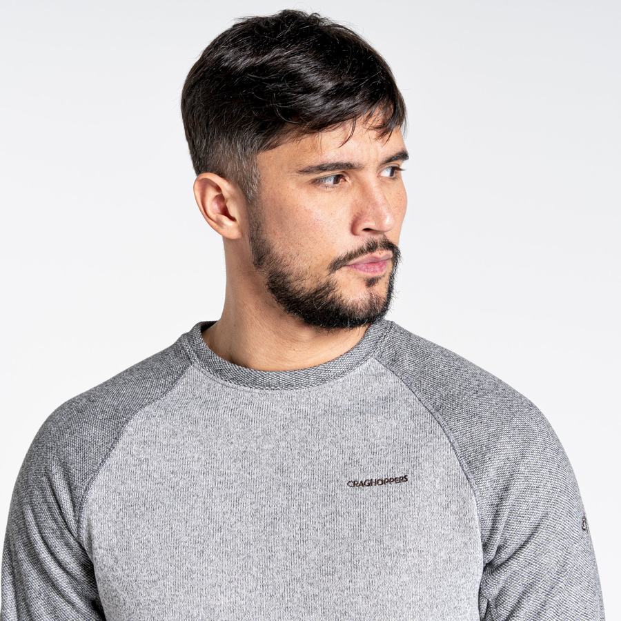 Grey Craghoppers Barker Jumper Men's Sweatshirts | XIC5858AR