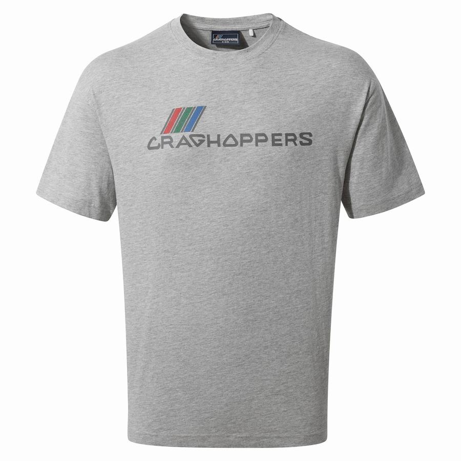 Grey Craghoppers Crosby Short Sleeved Men's T-Shirts | PYH1231SK