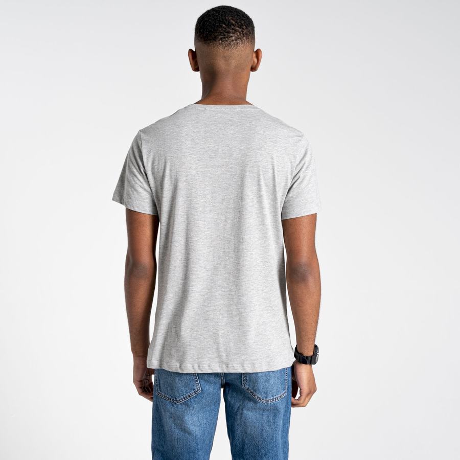 Grey Craghoppers Lugo Short Sleeved Men's T-Shirts | BDT4675KH