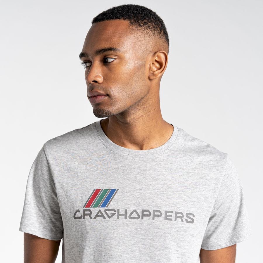 Grey Craghoppers Lugo Short Sleeved Men's T-Shirts | BDT4675KH