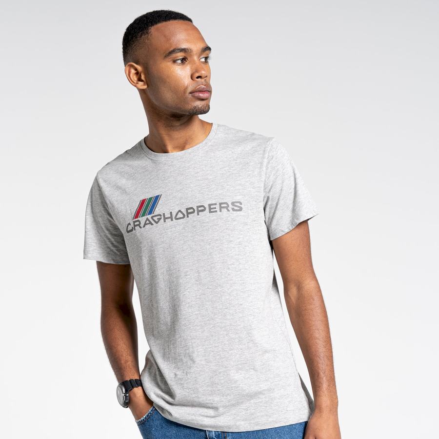 Grey Craghoppers Lugo Short Sleeved Men's T-Shirts | BDT4675KH