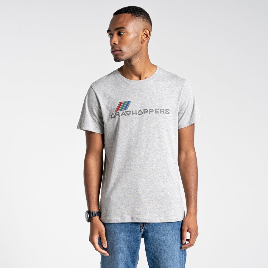 Grey Craghoppers Lugo Short Sleeved Men's T-Shirts | BDT4675KH