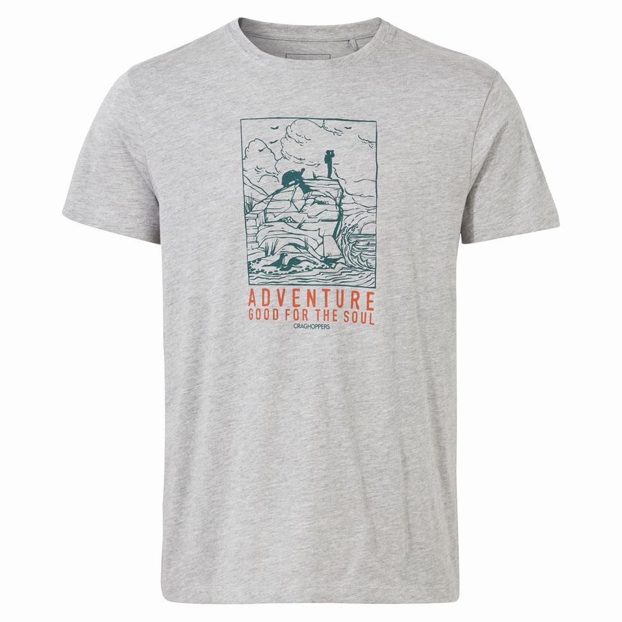 Grey Craghoppers Lugo Short Sleeved Men's T-Shirts | EIA483TM