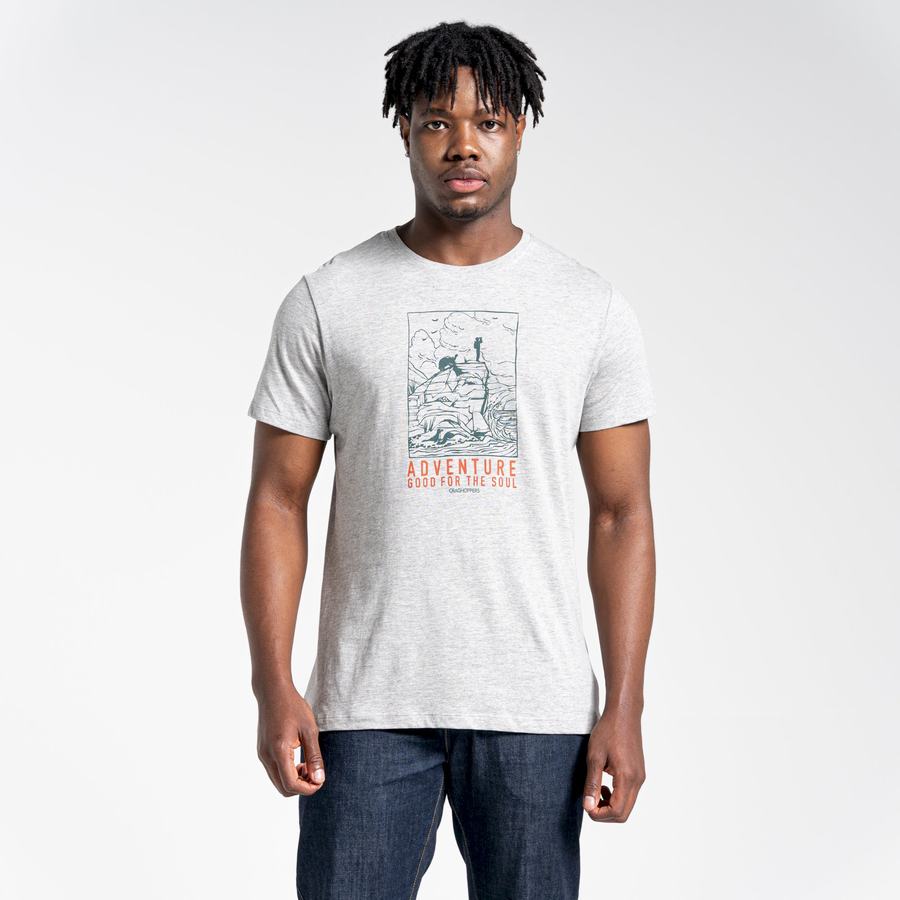 Grey Craghoppers Lugo Short Sleeved Men's T-Shirts | EIA483TM