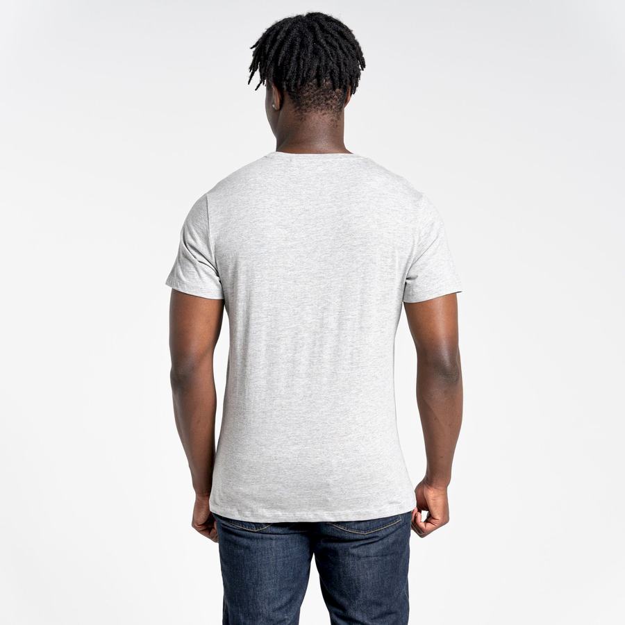 Grey Craghoppers Lugo Short Sleeved Men's T-Shirts | EIA483TM