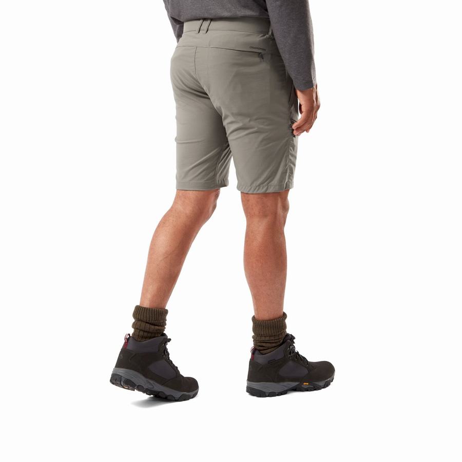 Grey Craghoppers NosiLife Pro Active Men's Shorts | KNW6639NW