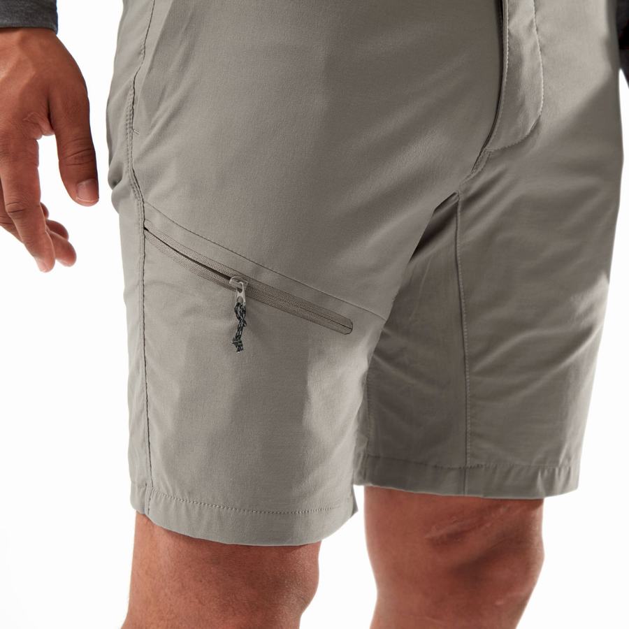 Grey Craghoppers NosiLife Pro Active Men's Shorts | KNW6639NW