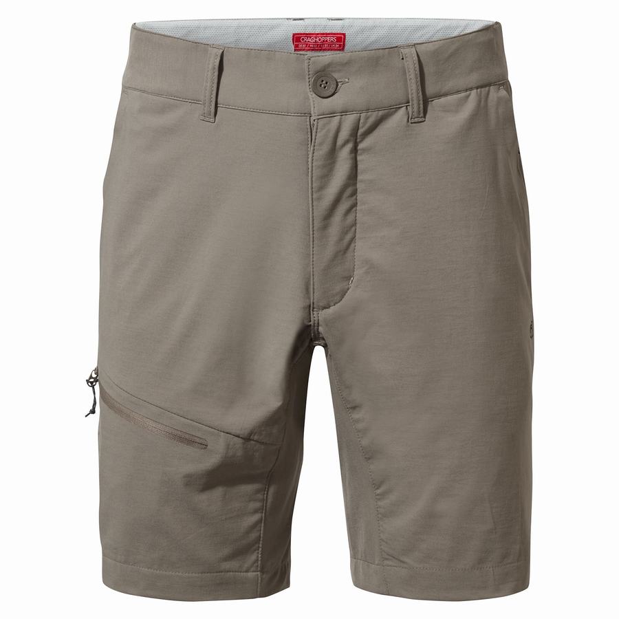 Grey Craghoppers NosiLife Pro Active Men's Shorts | KNW6639NW