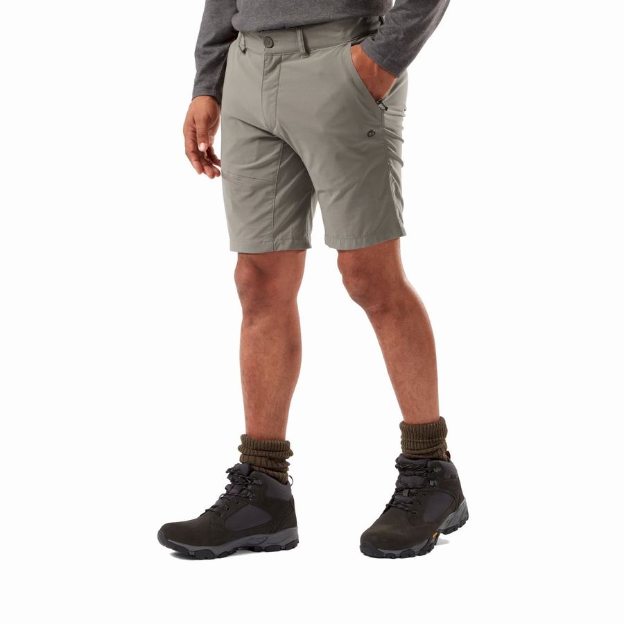 Grey Craghoppers NosiLife Pro Active Men's Shorts | KNW6639NW