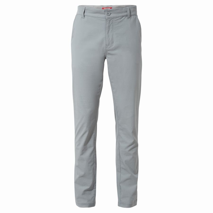 Grey Craghoppers NosiLife Santos Men's Trousers | RMM3333OC