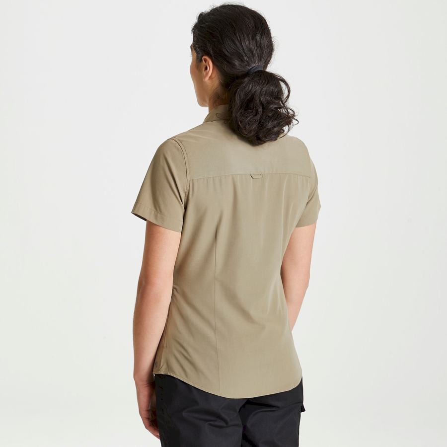 Khaki Craghoppers Expert Kiwi Short Sleeved Women's Shirts | QVI6545MB