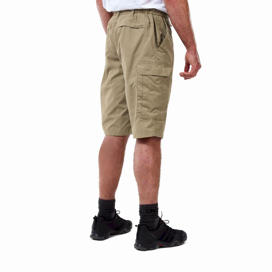 Khaki Craghoppers Kiwi Long Men's Shorts | QJU6087BT