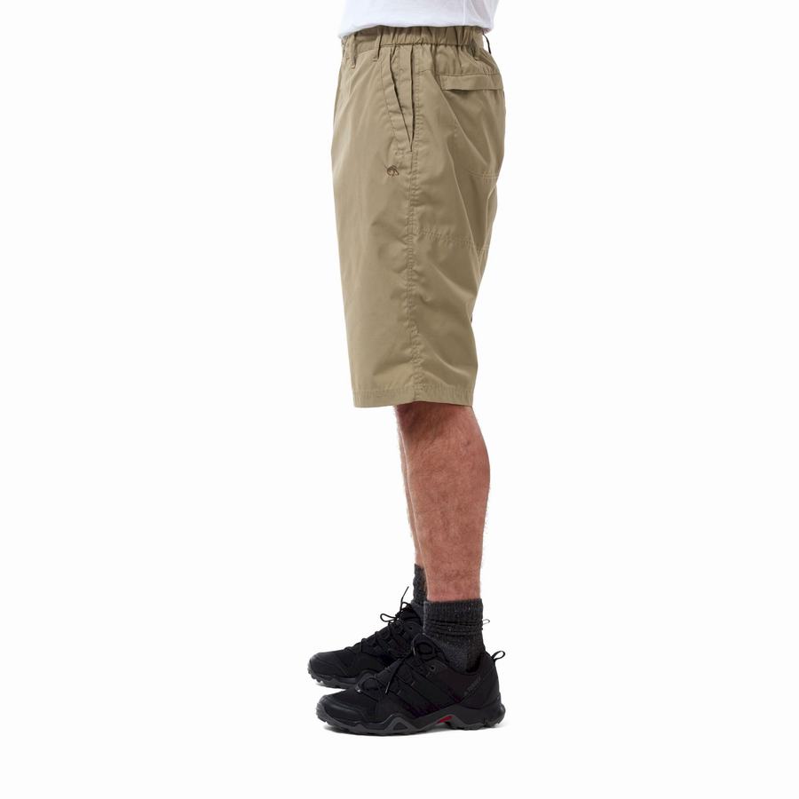 Khaki Craghoppers Kiwi Long Men's Shorts | QJU6087BT