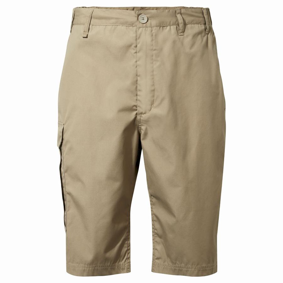 Khaki Craghoppers Kiwi Long Men's Shorts | QJU6087BT