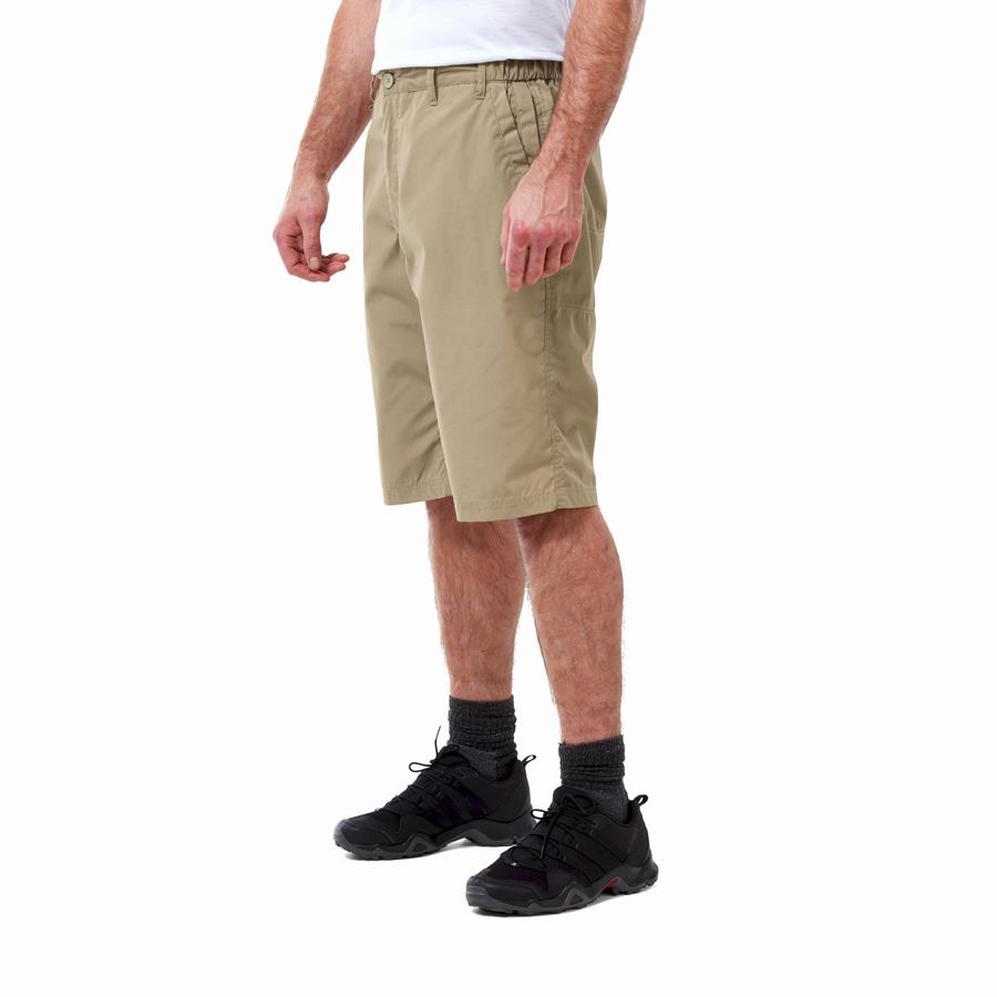 Khaki Craghoppers Kiwi Long Men's Shorts | QJU6087BT