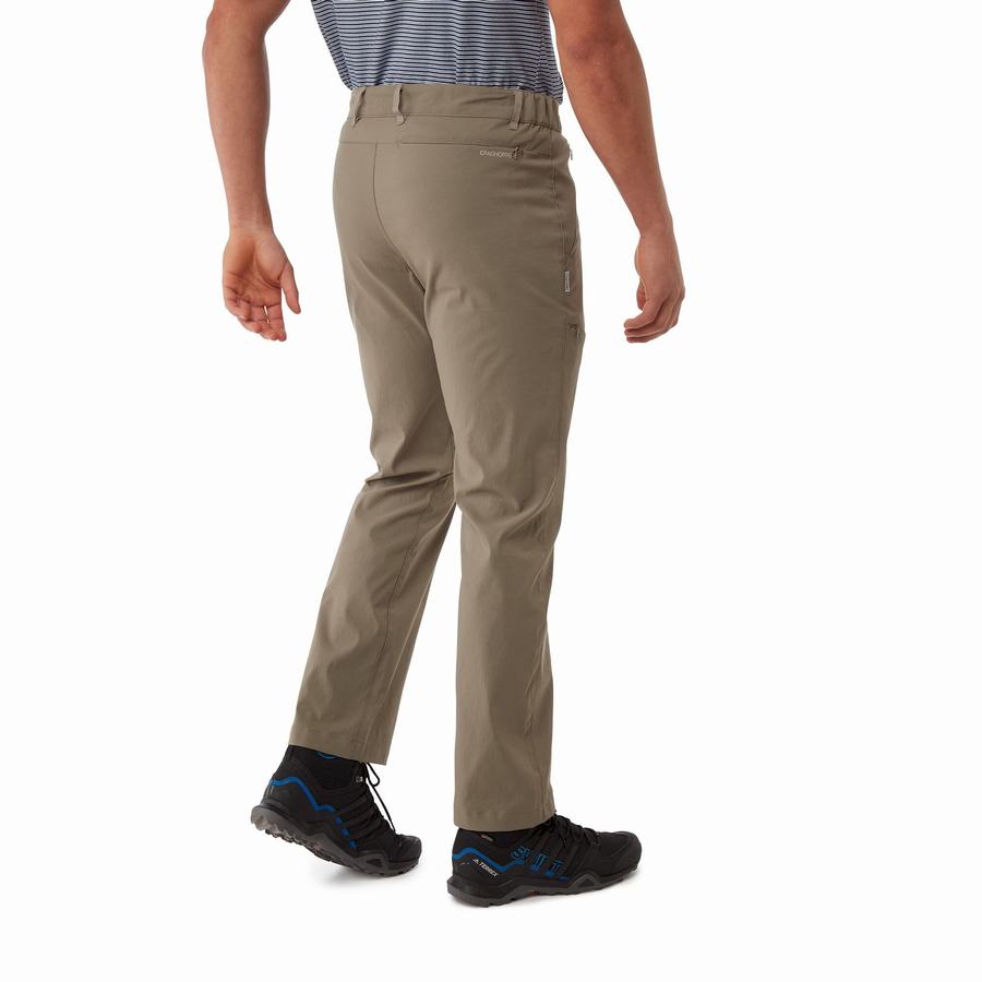 Khaki Craghoppers Kiwi Pro II Men's Trousers | CHB585NM