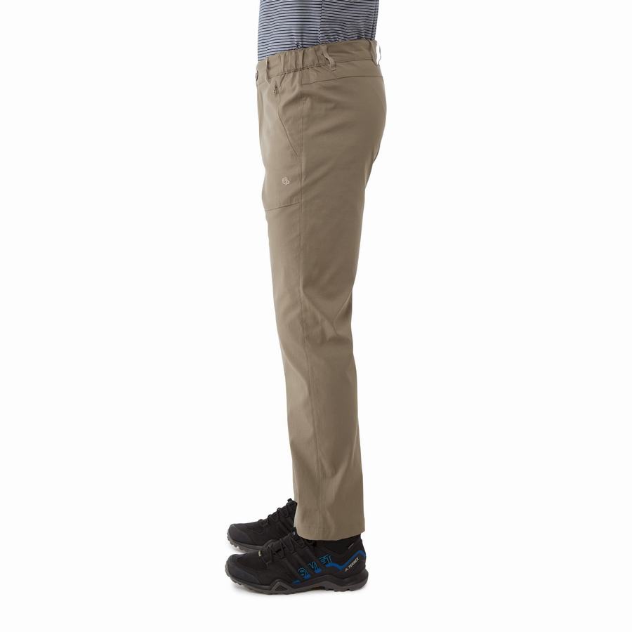 Khaki Craghoppers Kiwi Pro II Men's Trousers | CHB585NM