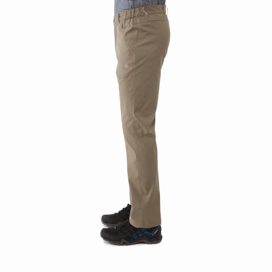 Khaki Craghoppers Kiwi Pro II Men's Trousers | NQS8034RI