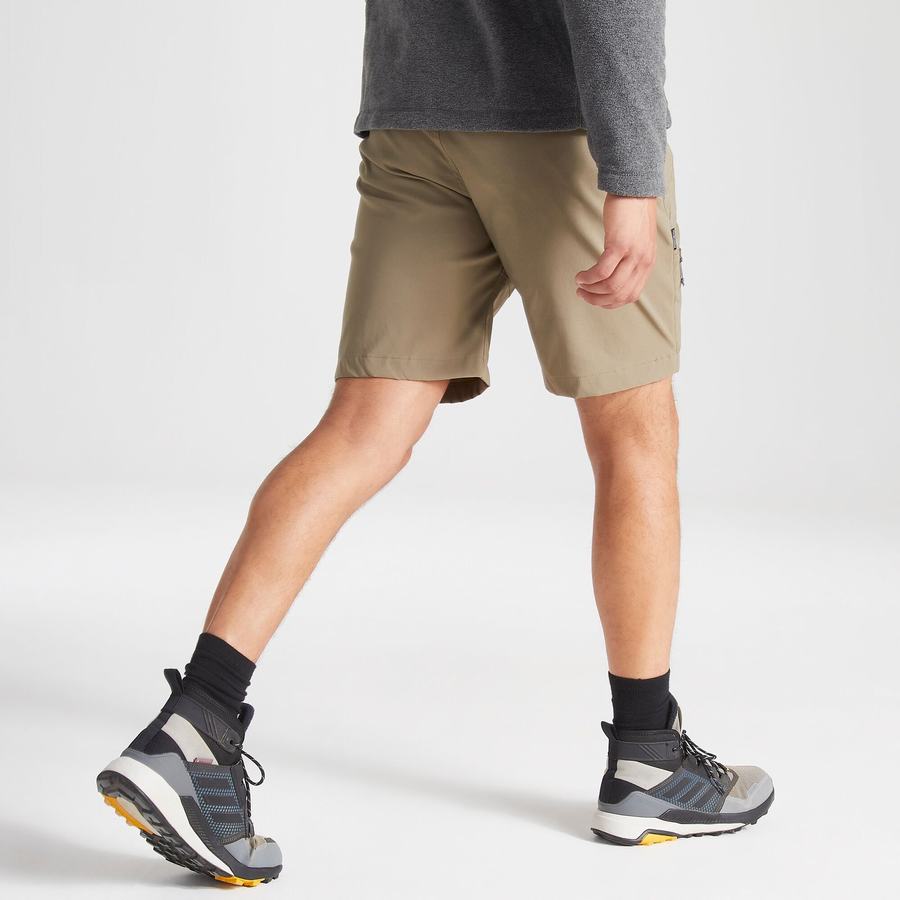 Khaki Craghoppers Kiwi Pro Men's Shorts | UWS6021RU