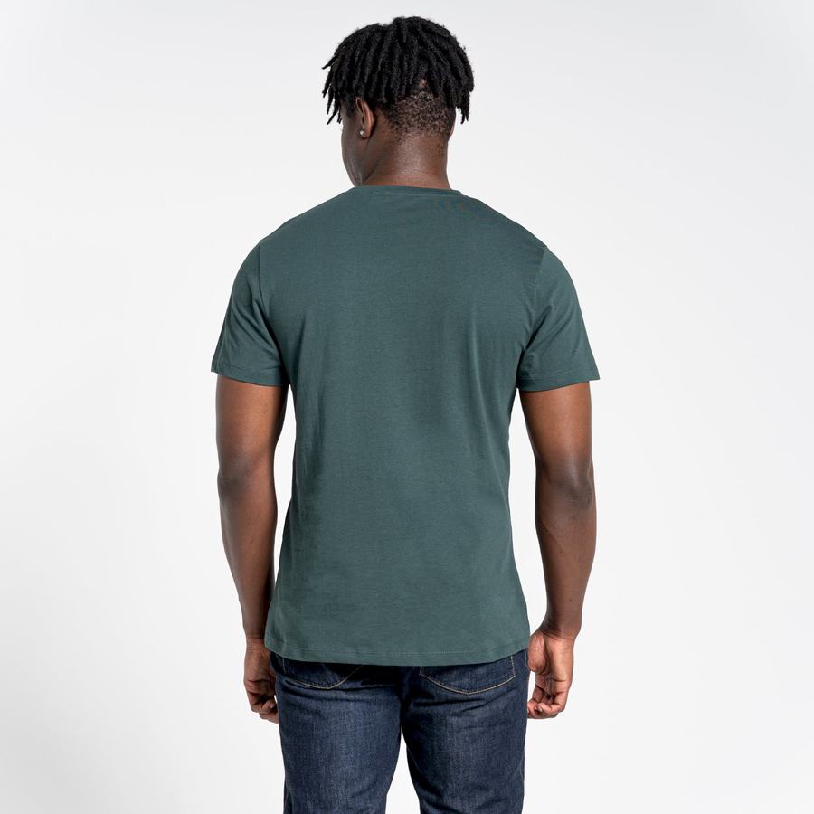 Light Green Craghoppers Lugo Short Sleeved Men's T-Shirts | TLI1625DM