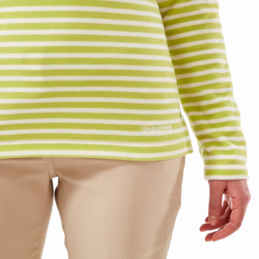 Light Green Stripes Craghoppers Natalia Half Zip Women's Sweaters | GGJ127NL