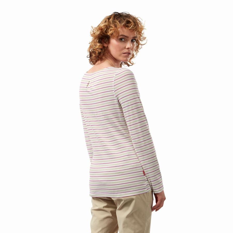 Light Green Stripes Craghoppers NosiLife Erin Long Sleeved Women's T-Shirts | WFL4977EA