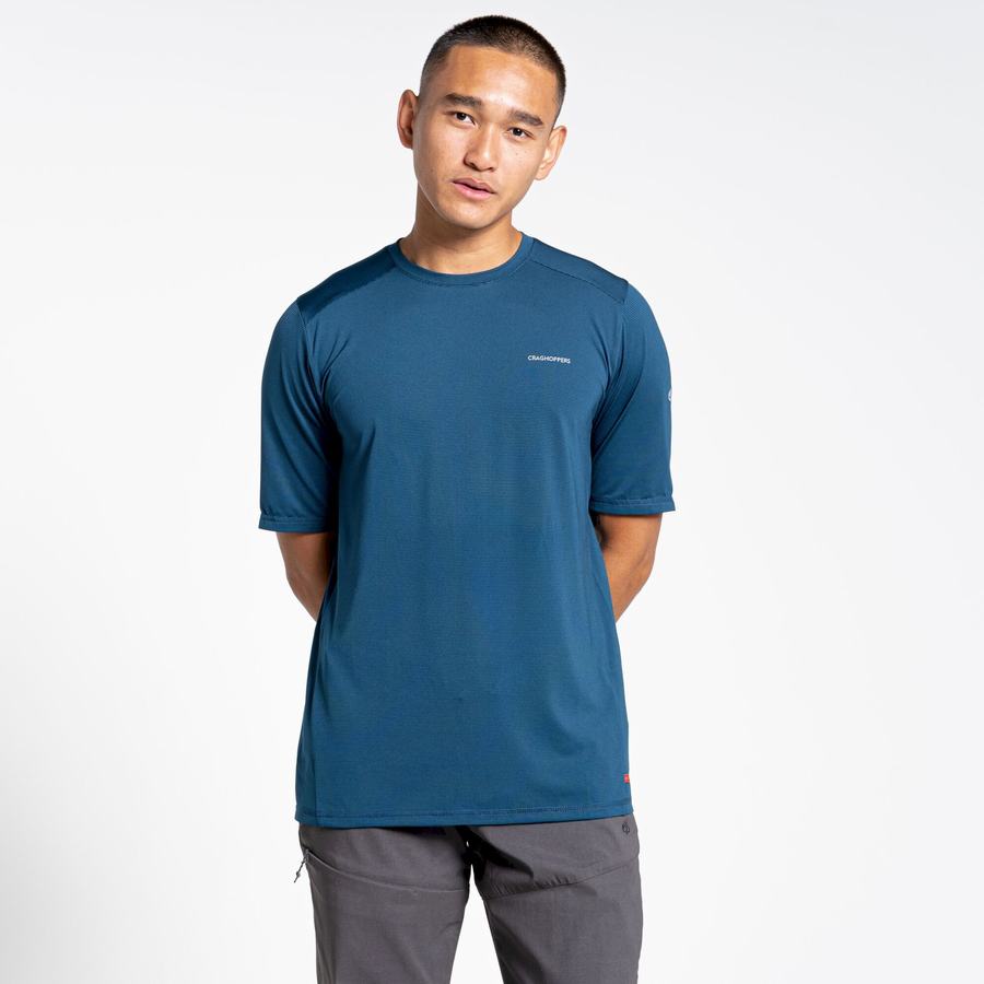 Navy Blue Craghoppers Belardo Short Sleeved Men's T-Shirts | NTY8787VD