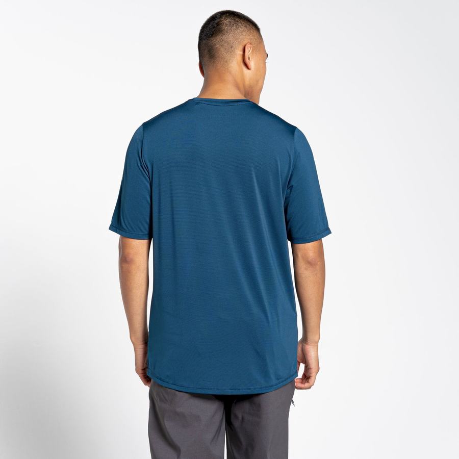 Navy Blue Craghoppers Belardo Short Sleeved Men's T-Shirts | NTY8787VD