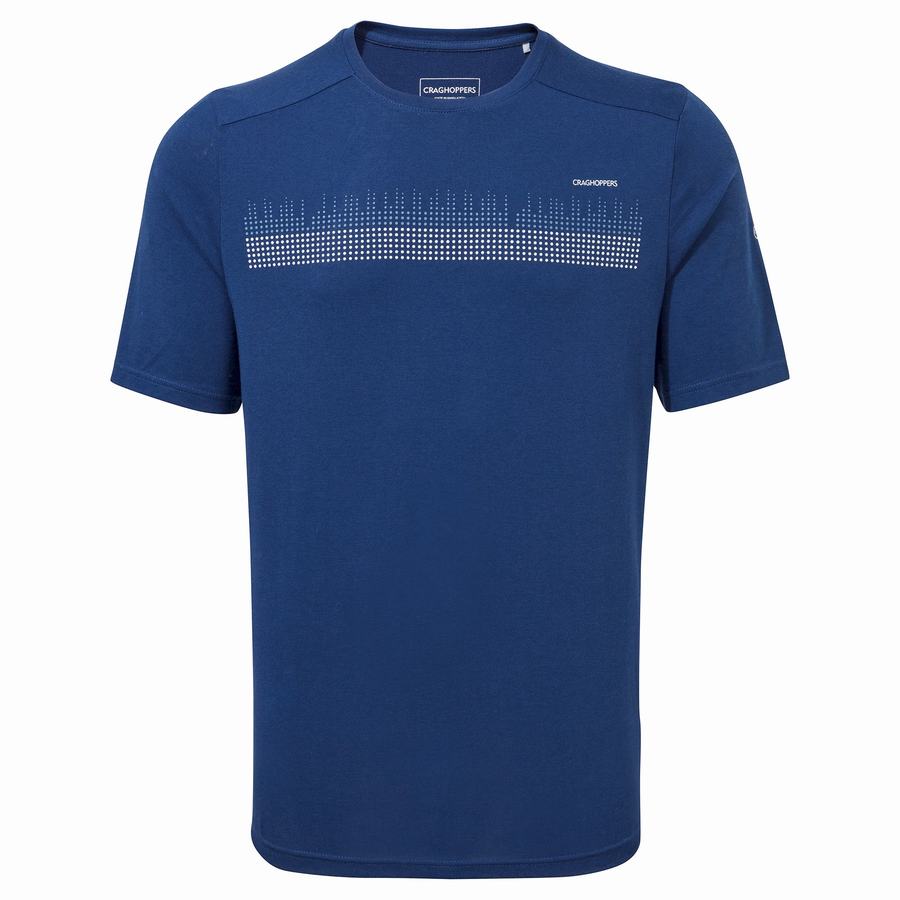 Navy Blue Craghoppers Dynamic Short Sleeved Poseidon Men's T-Shirts | XFE560FG