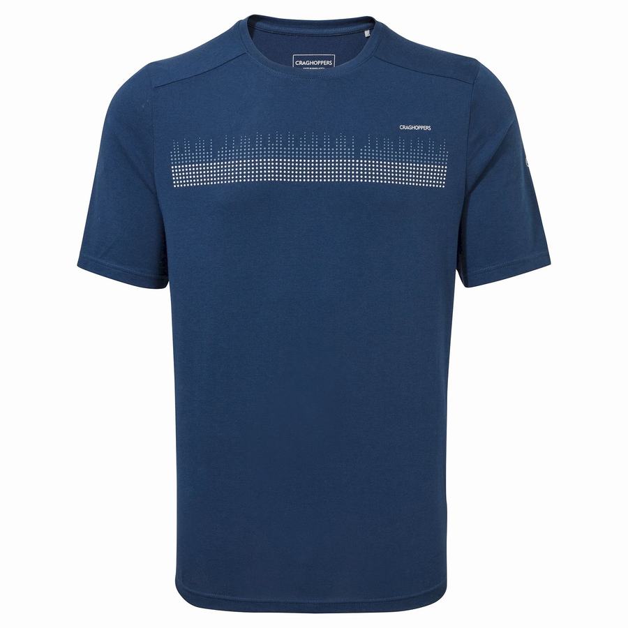 Navy Blue Craghoppers Dynamic Short Sleeved Poseidon Men's T-Shirts | XFE560FG