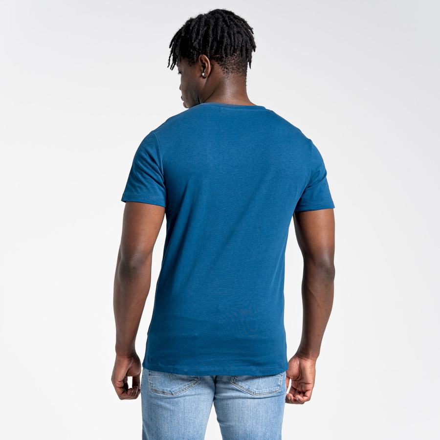 Navy Blue Craghoppers Lugo Short Sleeved Men's T-Shirts | OGN3394QO