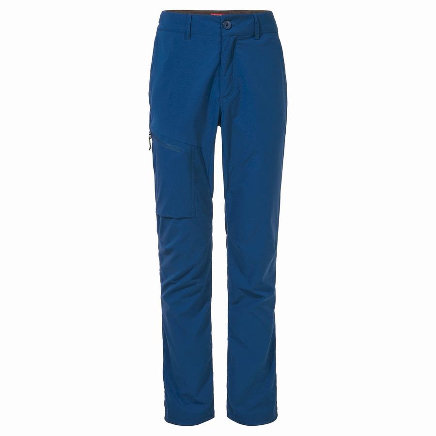 Navy Blue Craghoppers NosiLife Pro Active Men's Trousers | CMP397XT