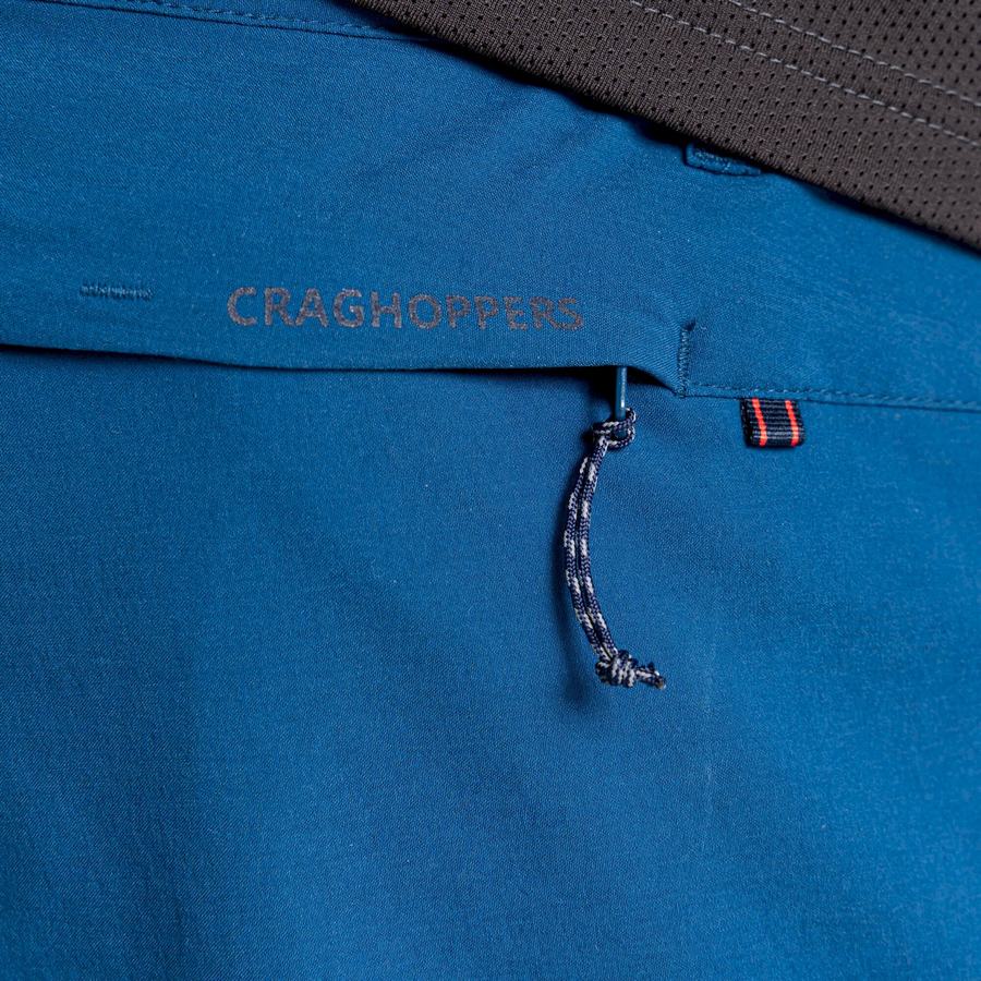 Navy Blue Craghoppers NosiLife Pro Active Men's Trousers | CMP397XT