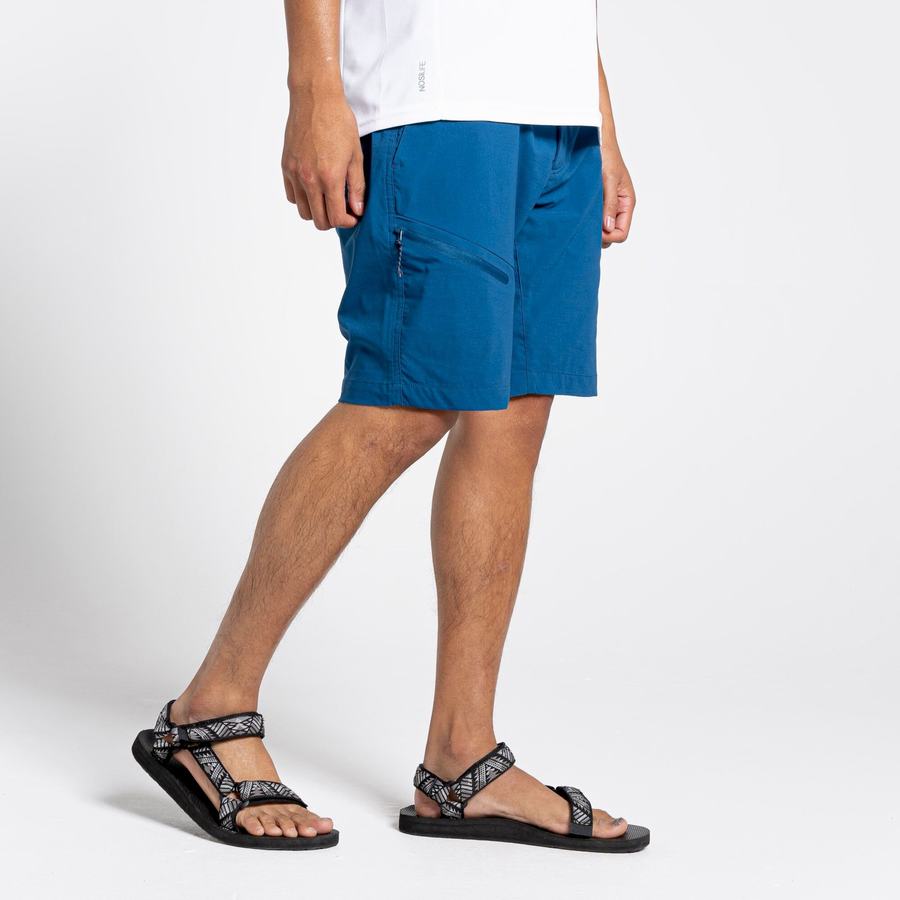 Navy Blue Craghoppers NosiLife Pro Active Men's Shorts | SDN2018MF