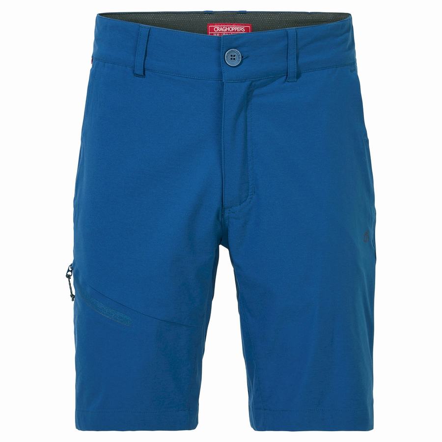 Navy Blue Craghoppers NosiLife Pro Active Men's Shorts | SDN2018MF