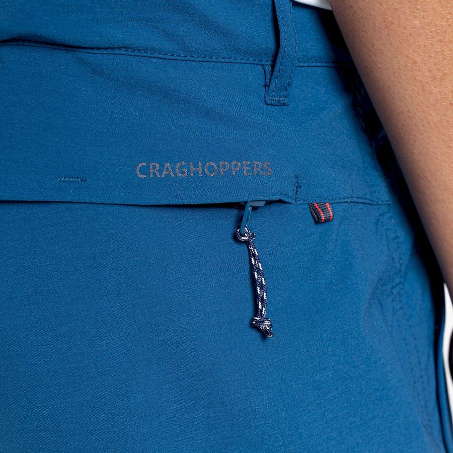 Navy Blue Craghoppers NosiLife Pro Active Men's Shorts | SDN2018MF