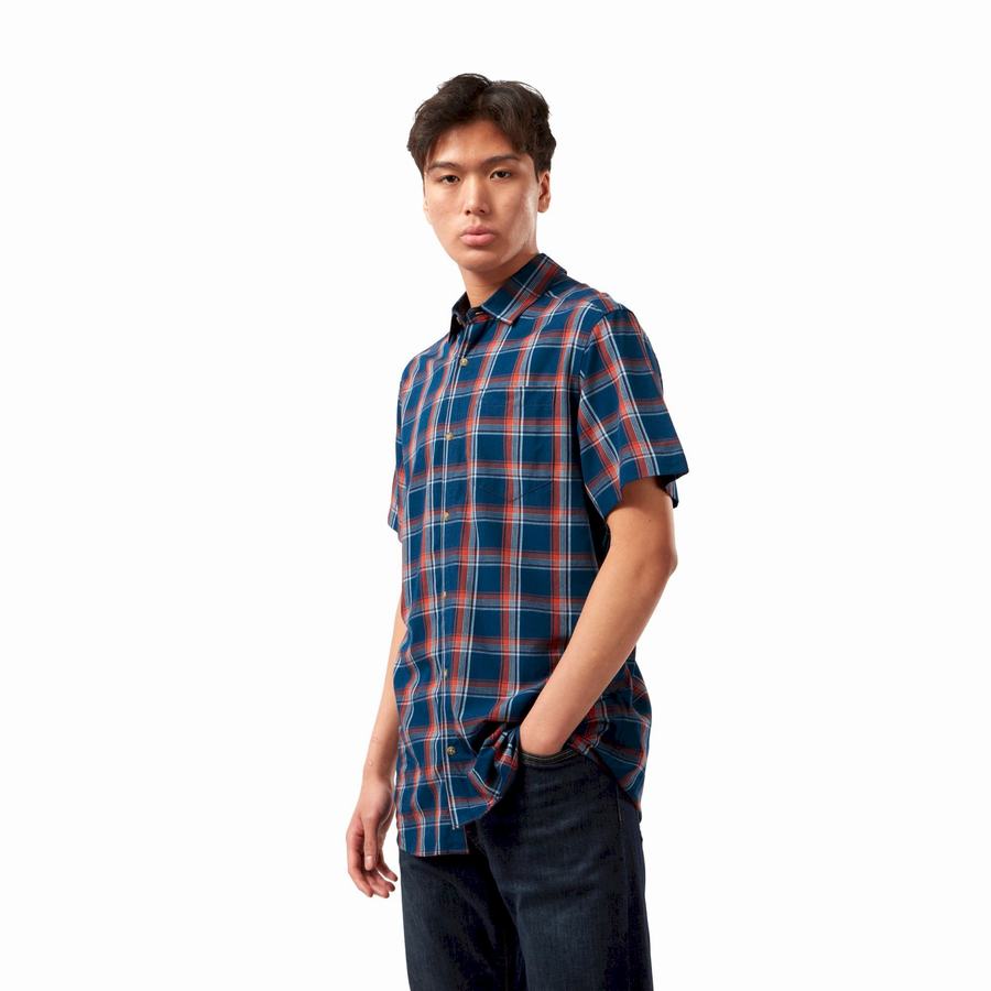 Navy Blue Craghoppers Rafie Short Sleeved Check Men's Shirts | KXL2171XY